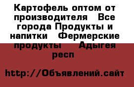 Картофель оптом от производителя - Все города Продукты и напитки » Фермерские продукты   . Адыгея респ.